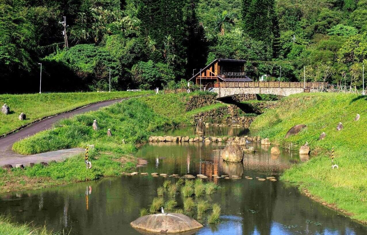 Summer Exclusive! Discover 76 Dragonfly Species at Neihu's Jinrui Flood Management Park