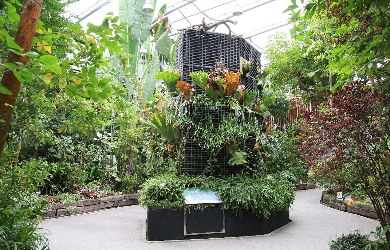 台北典藏植物園連結親情好去處 植感生活月手作課程引起大迴響